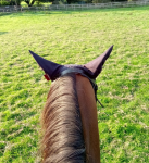 Screenshot_20201016-211458~3.png Screenshot_20201016-211458~3.png