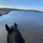 12631C1D-59A5-46FB-A2BD-A1FCB3FA186E.jpeg 12631C1D-59A5-46FB-A2BD-A1FCB3FA186E.jpeg