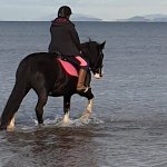 F179B97E-4812-41E4-AD69-02DECBC547C1.jpeg F179B97E-4812-41E4-AD69-02DECBC547C1.jpeg