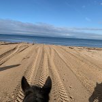 8FF651B0-0261-4A82-B575-705F116812FB.jpeg 8FF651B0-0261-4A82-B575-705F116812FB.jpeg