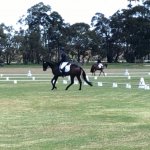 B65692EA-819B-42C7-98A7-D5E80E78CB0E.jpeg B65692EA-819B-42C7-98A7-D5E80E78CB0E.jpeg