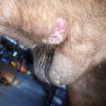 E04BF887-57DB-41B5-A844-B9EAA2E46948.jpeg E04BF887-57DB-41B5-A844-B9EAA2E46948.jpeg