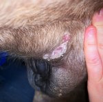 86311FC0-ACB5-4D15-AF80-BF75D95A0FB4.jpeg 86311FC0-ACB5-4D15-AF80-BF75D95A0FB4.jpeg