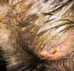 08CC1D95-C7AD-455B-9CC9-6043199501BB.jpeg 08CC1D95-C7AD-455B-9CC9-6043199501BB.jpeg