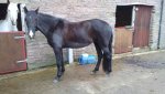 20201018_093638.jpg