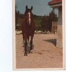 after eight.jpg after eight.jpg