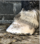 Screenshot 2020-11-19 at 21.06.18.png Screenshot 2020-11-19 at 21.06.18.png