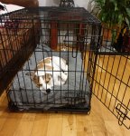 20201124_080733.jpg