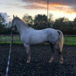 8C0D60E7-992F-4E5F-9E74-D2D0A592B849.jpeg 8C0D60E7-992F-4E5F-9E74-D2D0A592B849.jpeg