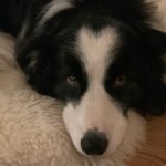 9DCA693E-D31E-479C-848F-B38751F89169.jpeg 9DCA693E-D31E-479C-848F-B38751F89169.jpeg