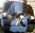 PICT0657.JPG PICT0657.JPG