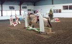 a jumping pony.jpg