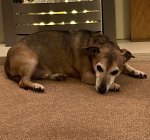 762071E7-BD28-4435-AD2B-2260EB233035.jpeg 762071E7-BD28-4435-AD2B-2260EB233035.jpeg