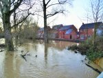 new houses Parkfield Rd.jpg