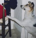 tessie.jpg
