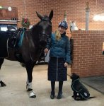matchy dog and horse.jpg
