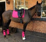 z6ShW83UaVjxWih2uCqqywIOWAMUY39wZEcABhK05W81KYpeT3QsAhboSOra-YxnksZf6NJFiDBljolq3d9GQOhz6B4R2b...jpg z6ShW83UaVjxWih2uCqqywIOWAMUY39wZEcABhK05W81KYpeT3QsAhboSOra-YxnksZf6NJFiDBljolq3d9GQOhz6B4R2b...jpg