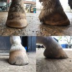 50AD507D-5A0F-4A45-B6BC-DC6E1813D968.jpeg 50AD507D-5A0F-4A45-B6BC-DC6E1813D968.jpeg