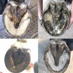 655CB1BB-318E-467F-BA01-3FCDBA84DAD2.jpeg 655CB1BB-318E-467F-BA01-3FCDBA84DAD2.jpeg