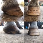 0FDCA824-D806-4B18-9F57-6746E6D8C11C.jpeg 0FDCA824-D806-4B18-9F57-6746E6D8C11C.jpeg