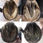 16F40139-3AA2-45A6-911F-343BAA264F72.jpeg 16F40139-3AA2-45A6-911F-343BAA264F72.jpeg