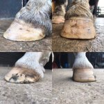 761D7B14-90F8-43F6-8679-41D45A176804.jpeg 761D7B14-90F8-43F6-8679-41D45A176804.jpeg