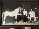 IMG_07991_compress28.jpg
