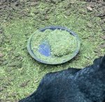 alfalfablock - 1.jpeg