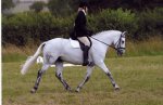 area dressage 2003.JPG