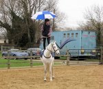 Umbrella31 resized.jpg