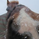 28616356_1933546496663957_6651607631517040569_o (1).jpg