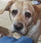 DSCF1346 (2).JPG DSCF1346 (2).JPG