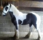 20190303_144113-1.jpg 20190303_144113-1.jpg