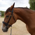 image.jpeg image.jpeg