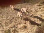 2016-03-21-20.jpg