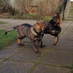 0F4E472D-5122-4F52-BD3A-5849D9DB8AAB.jpeg 0F4E472D-5122-4F52-BD3A-5849D9DB8AAB.jpeg