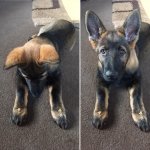 B8A18748-1C9F-42DD-8F14-C739A70AE720.jpeg B8A18748-1C9F-42DD-8F14-C739A70AE720.jpeg