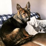 F244A09A-7C79-4D76-A600-FFC455D75D12.jpeg F244A09A-7C79-4D76-A600-FFC455D75D12.jpeg