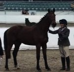 976DDE9F-37DE-4BA2-B4E5-6AD4F6129DFA.jpeg 976DDE9F-37DE-4BA2-B4E5-6AD4F6129DFA.jpeg