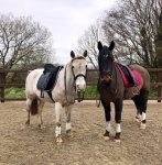 A6B68EC8-6B14-43CF-9F72-E280FD7C7737.JPG A6B68EC8-6B14-43CF-9F72-E280FD7C7737.JPG