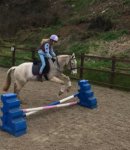 Capture.JPG Capture.JPG