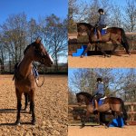 B954A0F4-936B-4674-8204-92967EB03D70.jpeg B954A0F4-936B-4674-8204-92967EB03D70.jpeg