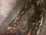 3D2775AB-406C-4D90-9B9F-5BB8BC495CAD.jpeg