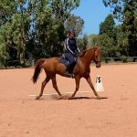 414FF566-9AB8-4051-9695-9AD58FF15FD2.jpeg 414FF566-9AB8-4051-9695-9AD58FF15FD2.jpeg