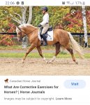 Screenshot_20210426-220633_Samsung Internet.jpg Screenshot_20210426-220633_Samsung Internet.jpg