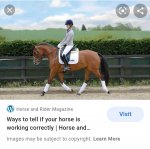 Screenshot_20210426-220553_Samsung Internet.jpg Screenshot_20210426-220553_Samsung Internet.jpg