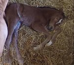 F7D49868-9AB5-424A-B371-914DC14DF5DB.jpeg F7D49868-9AB5-424A-B371-914DC14DF5DB.jpeg