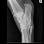 Broadbent_Duke_117849_TARSUS (Hock)-DLPMO-30_04_2021-18_37_18-339.JPEG