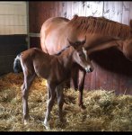 3EF47617-5526-46E6-8694-4770CAC8AA29.jpeg 3EF47617-5526-46E6-8694-4770CAC8AA29.jpeg