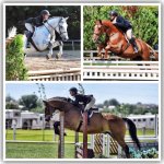 Oakwell Derby Brownland.jpg